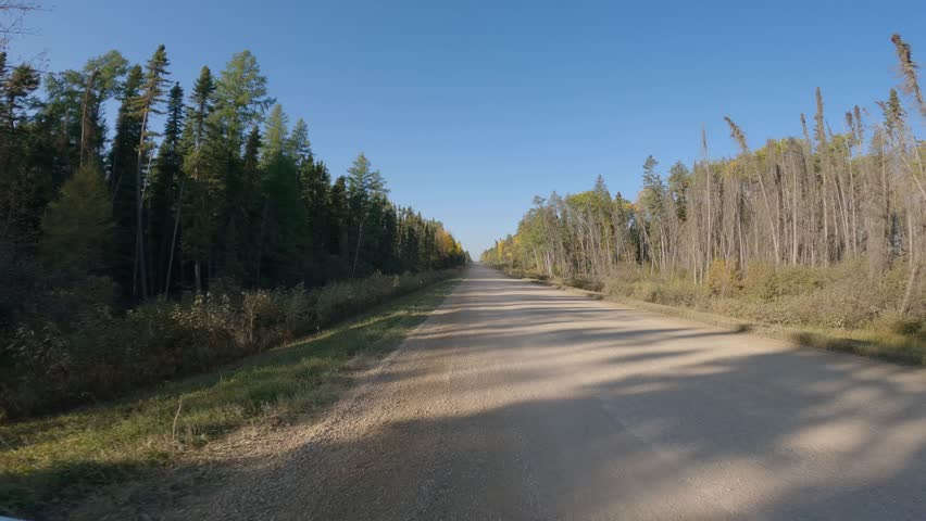 Point of view looking backward while driving along a gravel road as a large logging truck passes leaving dust along the road
