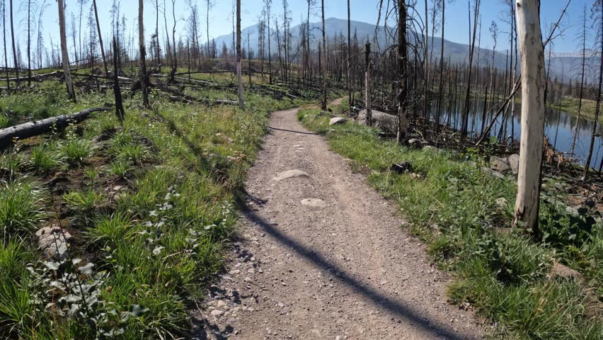 POV from a bike riding a gravel trail through a burnt forest next to a calm lake