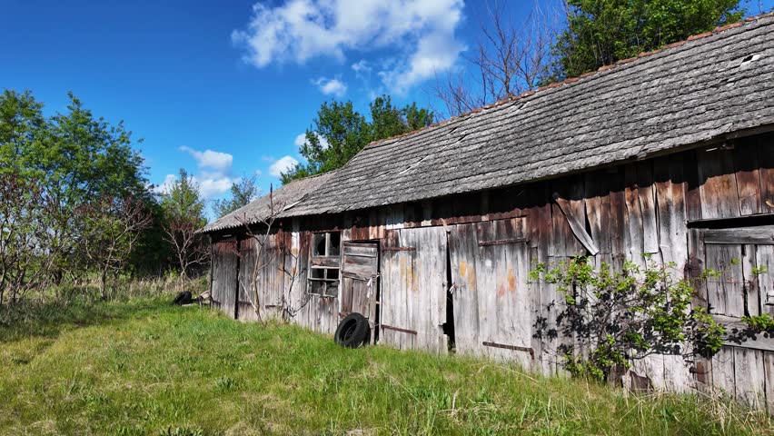 Old weathered wooden barn with distressed gray planks and corrugated roof standing in a green grassy field under a bright blue sky with fluffy white clouds in broad daylight.