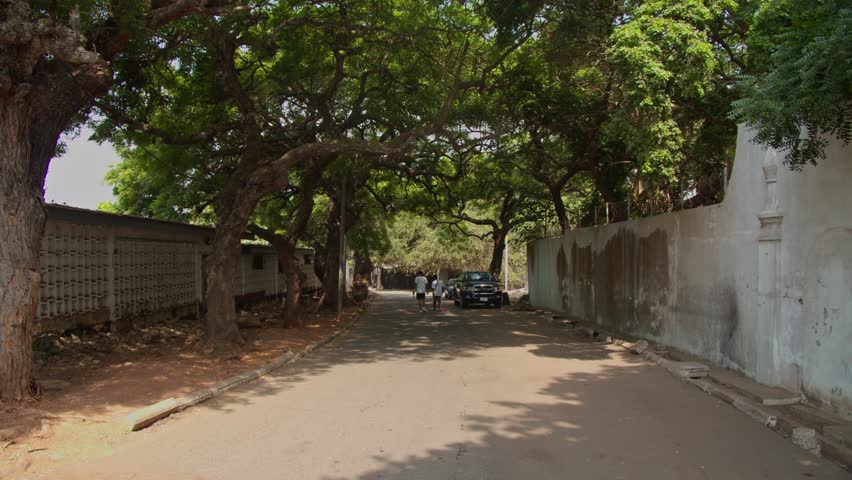 Ghana street scene with local people walking on asphalt road shaded by large leafy trees in Accra showing daily life, urban transportation, residential area in Africa