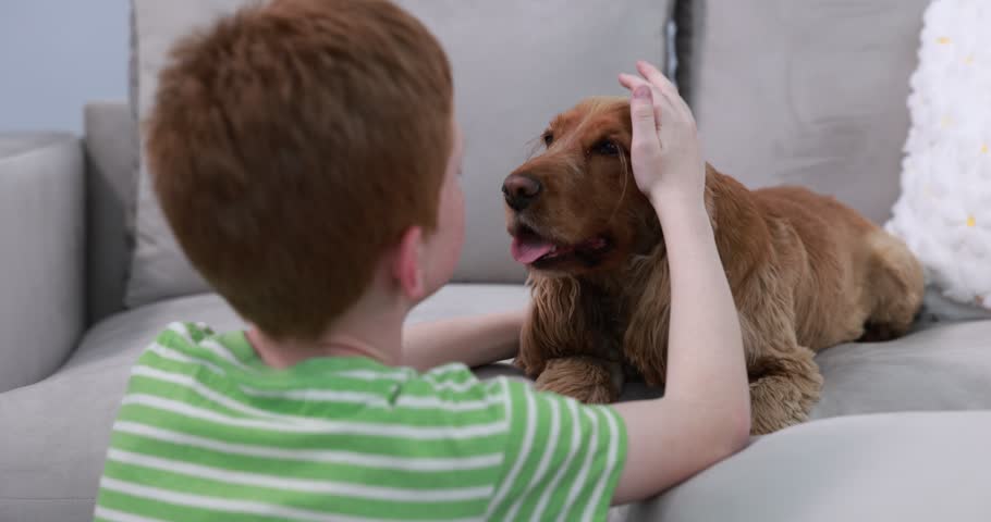 Adorable pet. Child with his cute dog at home, selective focus. Camera moving in
