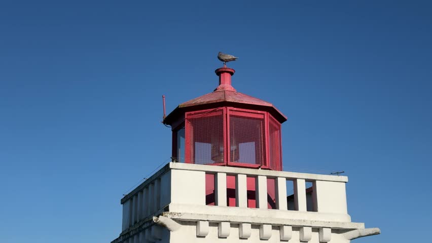 Seagull perched atop Prospect Point Lighthouse lantern room, Stanley Park