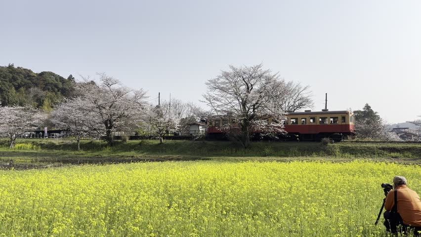 Beautiful scenery of Japan
Itabu station
Boso
chiba
Local lines

