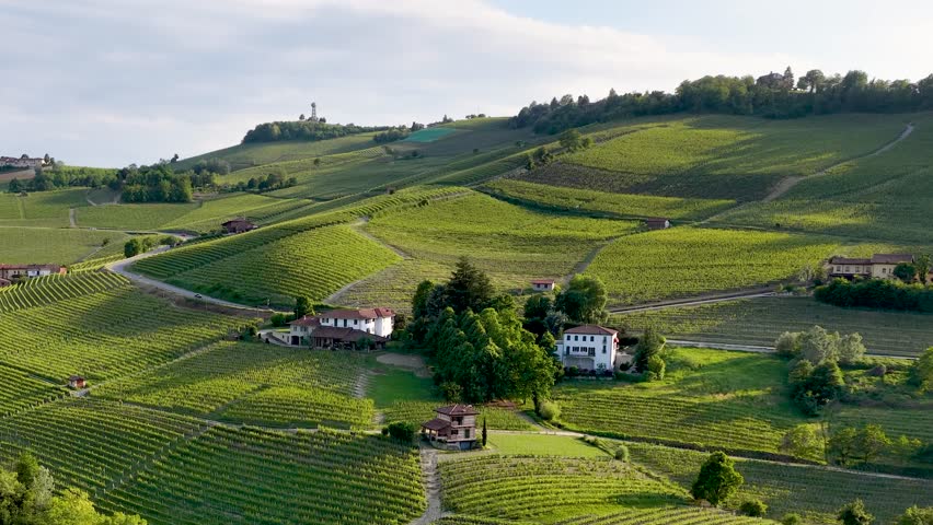 Wide aerial shot of lush green vineyards and rural houses under bright daylight in Piedmont