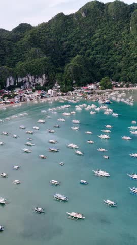 Aerial view of a bay filled with traditional boats and lush green mountains rising from shore.