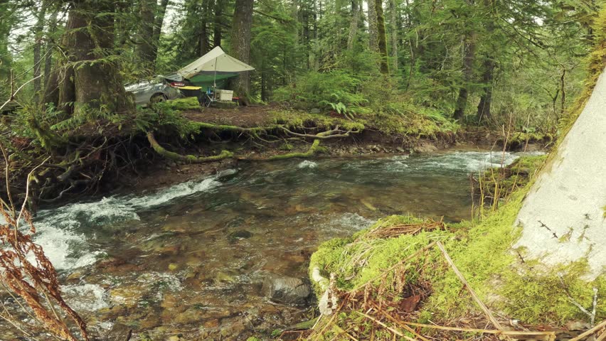Pacific Northwest Campsite Beside Flowing River in Washington Forest