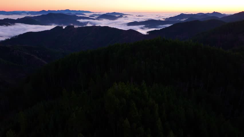 Aerial View of Logged Hillsides in Tillamook State Forest at Blue Hour