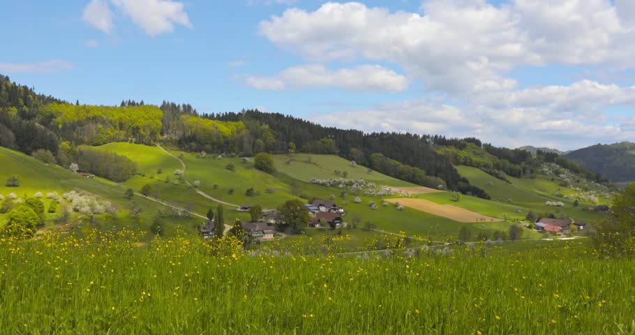 fields of flowers and a sunny spring day in a valley in the Black Forest
