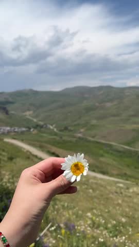 Hand holding a daisy flower against a backdrop of green hills and cloudy sky, daylight, outdoor scenery, nature setting.