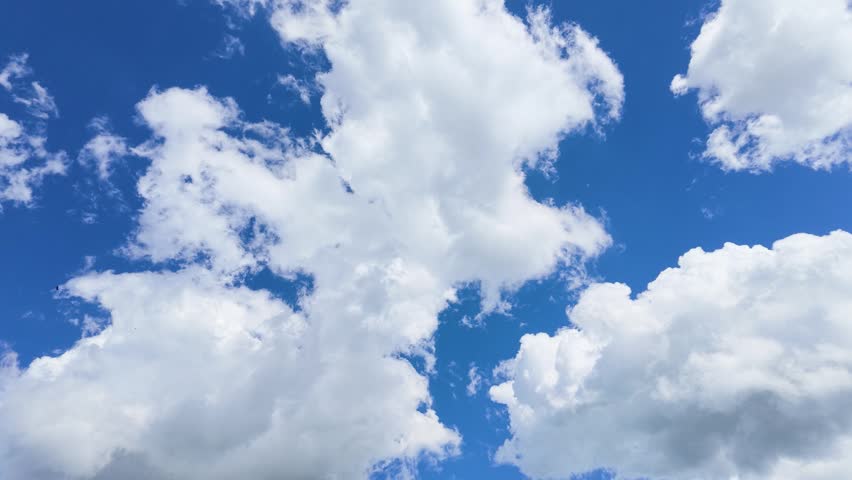 Bright white clouds drift across a blue sky above silhouetted trees on a sunny day
