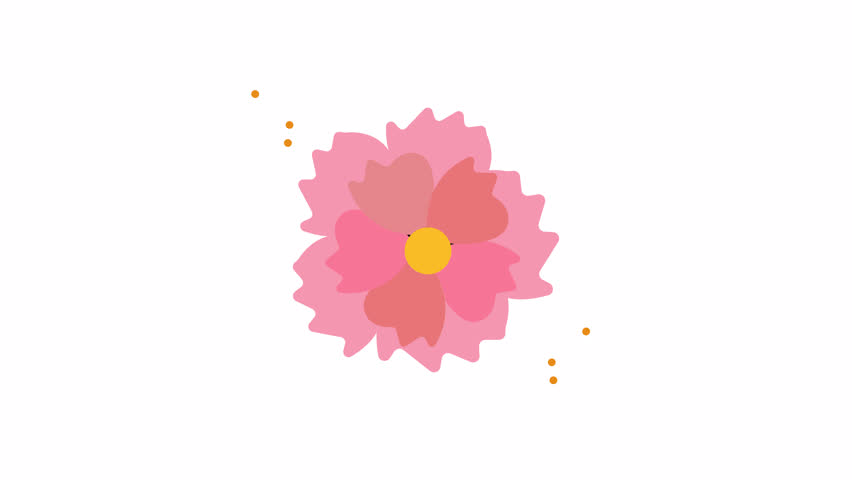 Pink flower with yellow center, blooming brightly. Suitable for naturethemed designs, spring concepts, greeting cards, and floral backgrounds