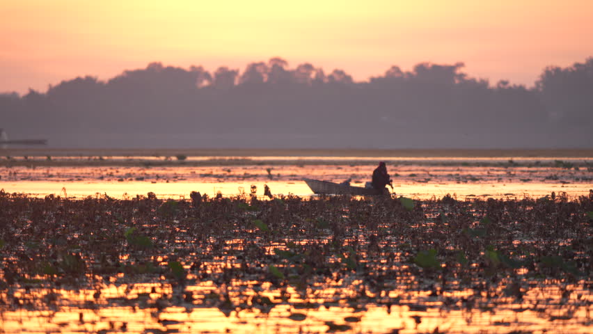 Sunrise lake silhouette with boat water near shoreline and wetland, fisherman reflection horizon orange sky mist, serene river landscape with lone boat silhouette and calm water reflections over