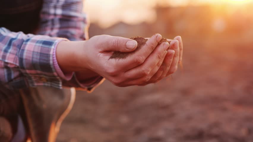 Farmer sifting dry soil, agricultural field, sunset light, slow motion.