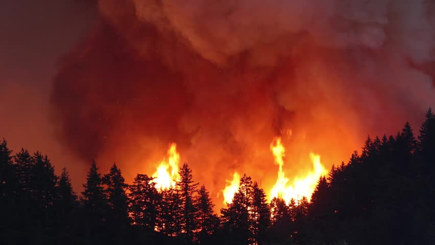 Large forest fire burns the tree covered side of a mountain in Oregon