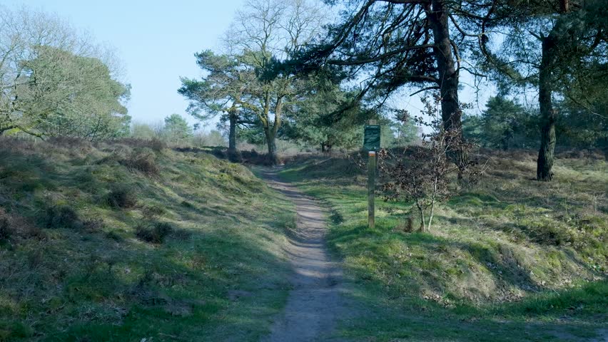 Point of view walking backwards on a dirt path in nature reserve