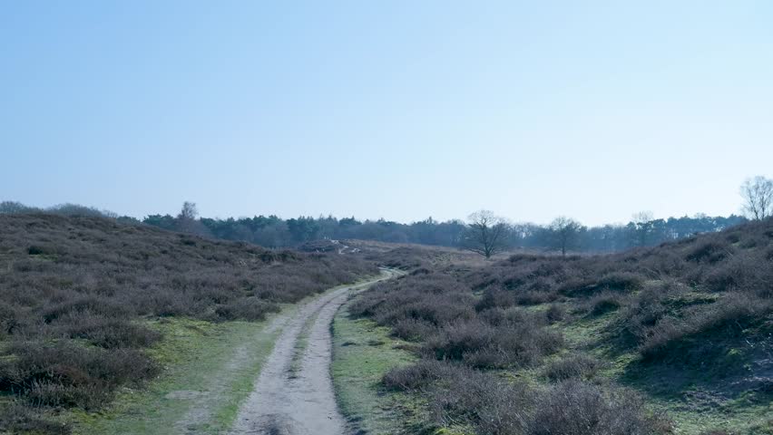 Hiking trail winding through a tranquil heathland valley