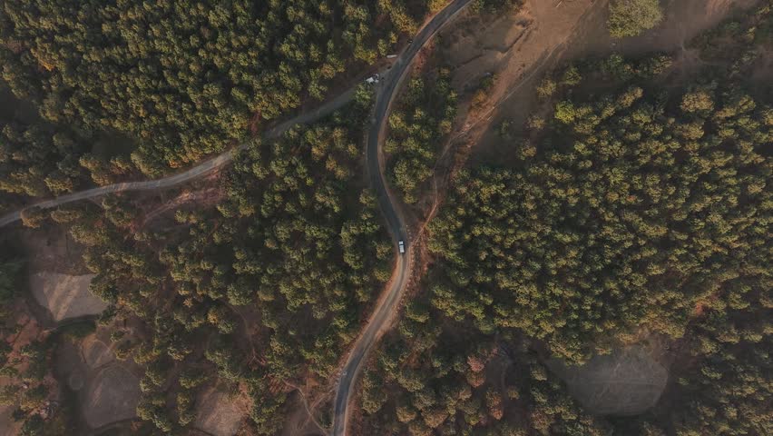 Aerial top down view of a winding road through the forests of Purulia, West Bengal, India.