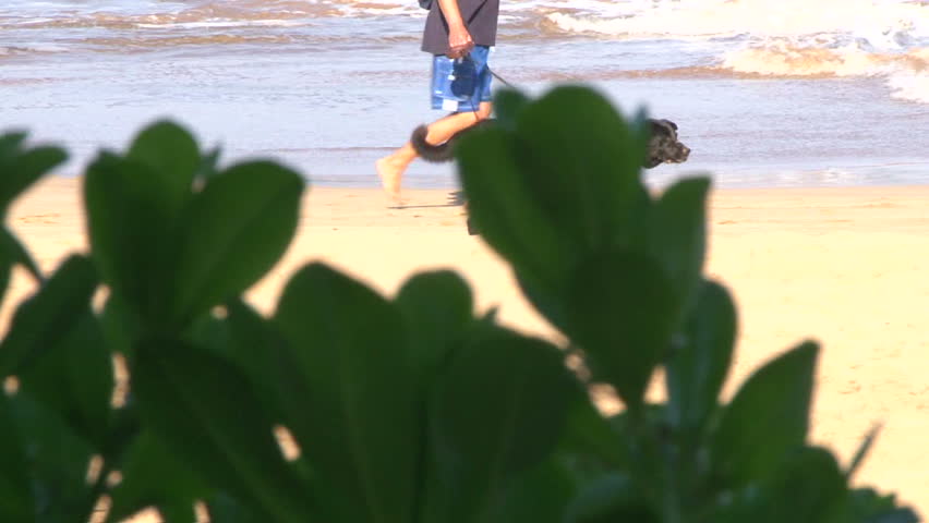 Man walking on sandy beach with his black lab dog.