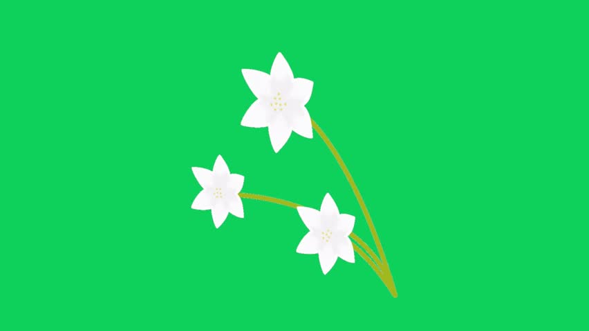 Isolated white lily flower stems with green leaves against a vibrant green background. A clean and simple floral illustration.