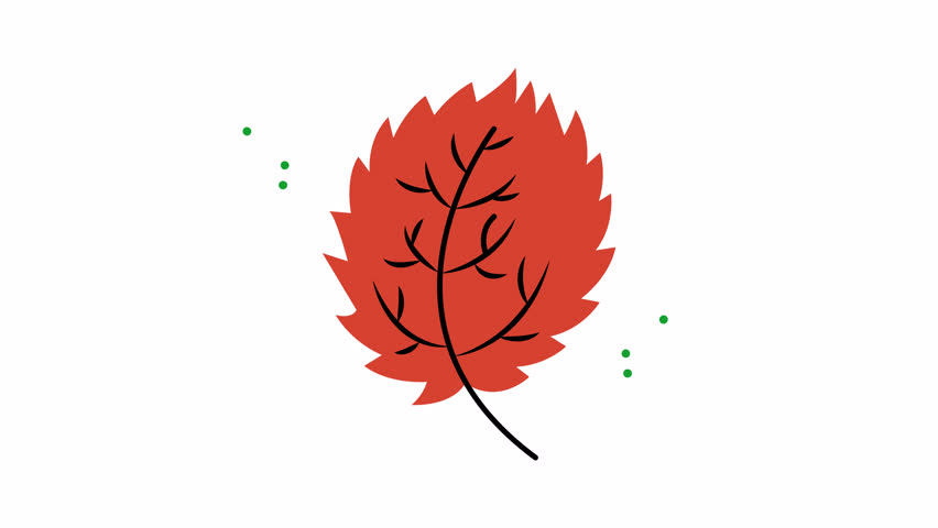 Simple autumn leaf illustration suitable for fall designs. Perfect for seasonal graphics, autumnthemed projects, naturerelated content, greeting cards, and posters.	
