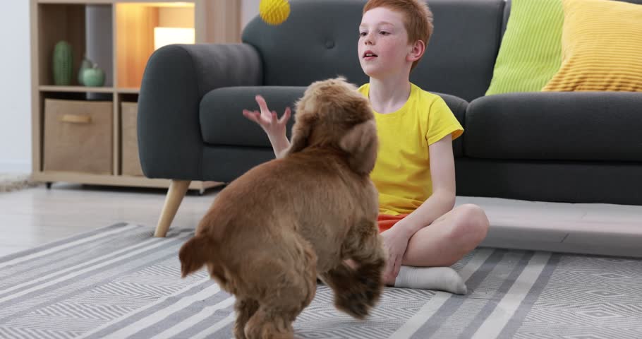 Adorable pet. Child playing with his cute dog at home