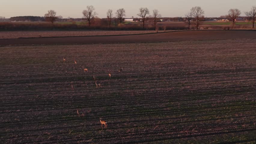 Sunset Over Rural Farmland Fields. Twixt Fields And Village Under Calm Orange Evening Sky. Serene Sunset Illuminating Expansive Farmland With Distant Village On Horizon Landscape
