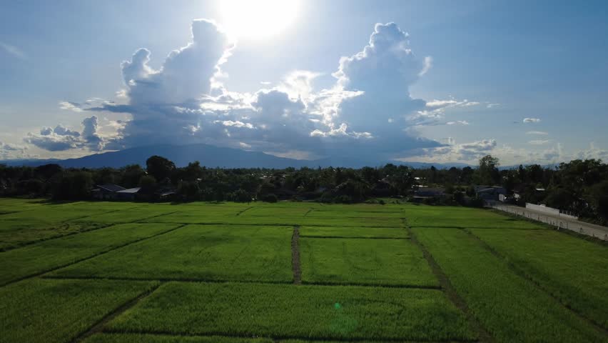 Aerial view of farmland and distant mountains