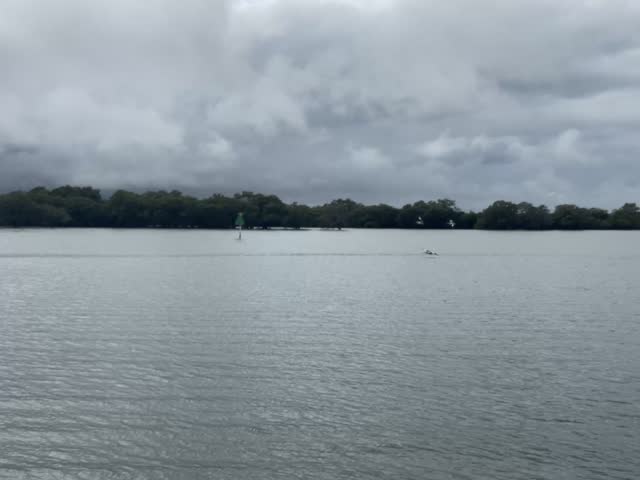 Trio of pelican flying into bay
