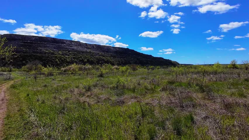 Wide landscape footage of a peaceful green meadow with scattered trees beneath a vivid blue sky and soft white clouds. Fresh countryside scenery with natural grassland and sunny spring atmosphere in a rural environment.