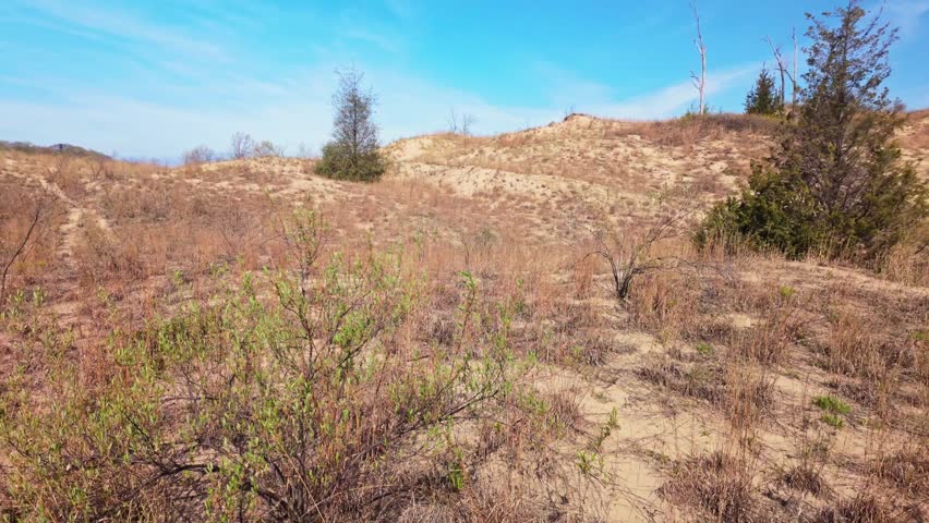 Beautiful view of sandy dunes at Indiana Dunes National Park in Indiana