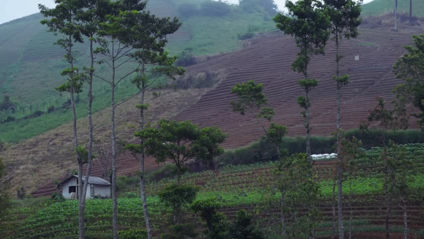 A small house sits on a terraced hillside farm with rows of crops under a cloudy sky in a rural landscape.
