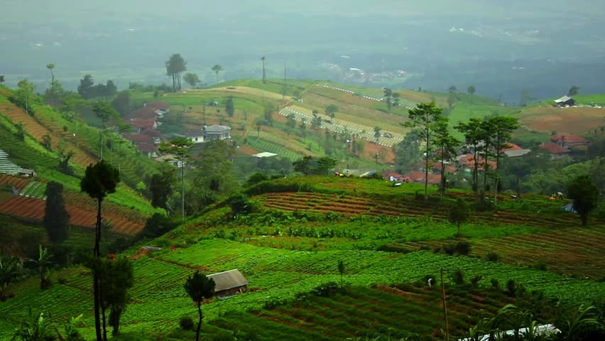 A scenic landscape view of terraced agricultural fields and small rural houses nestled on lush green mountain slopes under a soft, misty overcast sky.