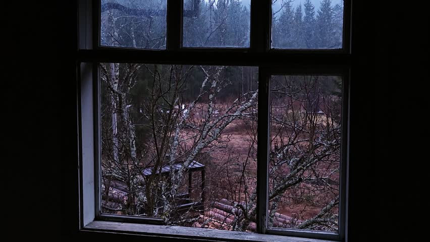 View through a cabin window of a timber train carrying logs.