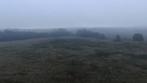 Drone Flying Forward above Foggy Meadow Landscape