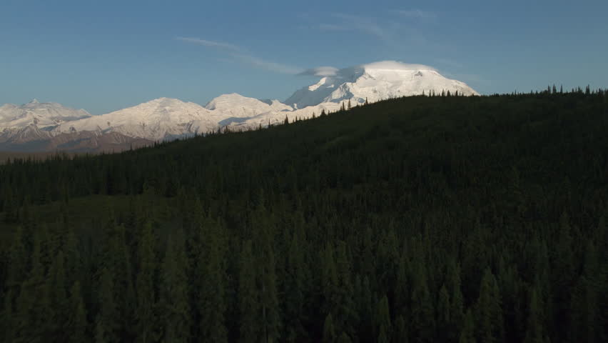 Denali, the highest peak in North America, revealing behind a dark forest and a vast plain