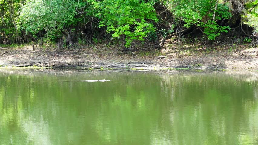 Spring Landscape of Hillsborough river in  Tampa, Florida