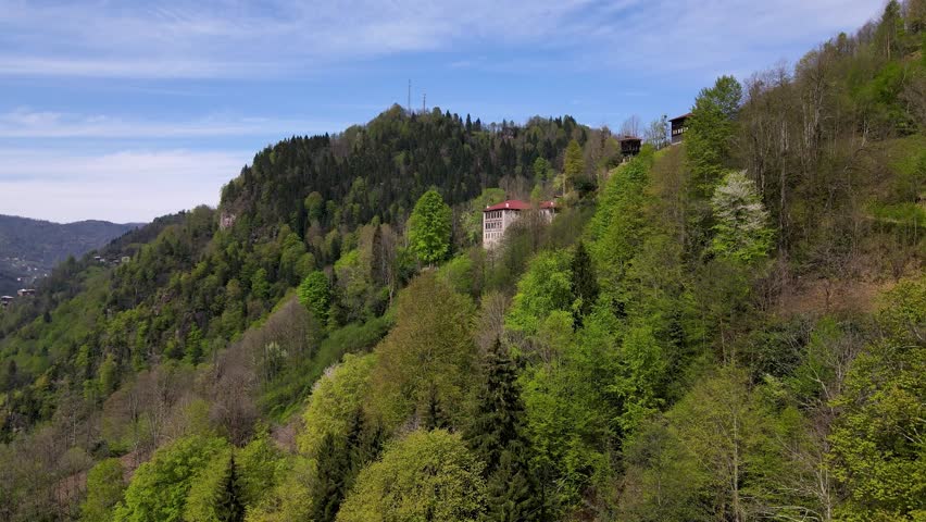 Historical mansions. Historic mansions among green forests, trees and meadows. Footage of old mansions made of wood and stone.