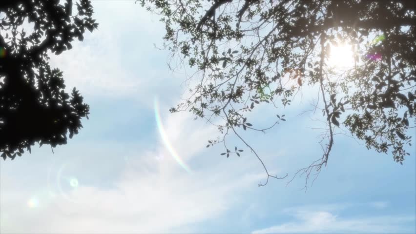 Low Angle View of Sun Shining Through Tree Branches Creating a Vivid Lens Flare and Bright Blue Sky