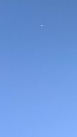 Single white seagull soars freely across clear blue sky, gliding from upper left downward to lower right corner, wings spread wide, moving steadily in smooth daytime flight.