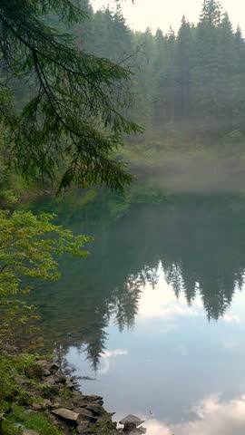 Beautiful mountain lake in the forest. Clean and clear water in the lake. Ukrainian Carpathians., vertical footage