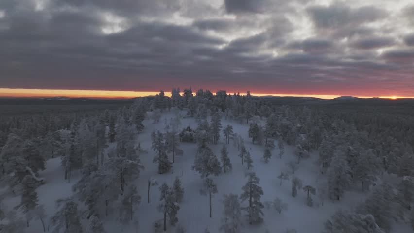 Aerial view of a dramatic Polar Night Sunset Over Tykky Trees in Pyhä-Luosto