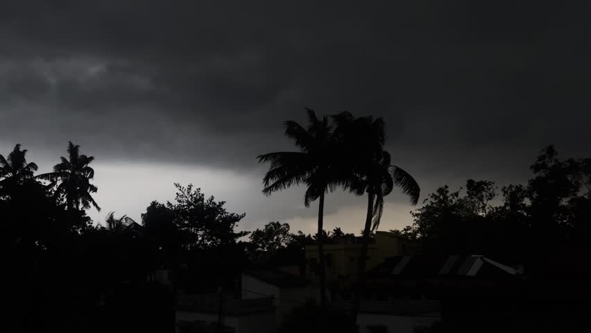 Cinematic shot of dark stormy clouds moving in the sky with tree leaves blowing in strong wind before a heavy rain.