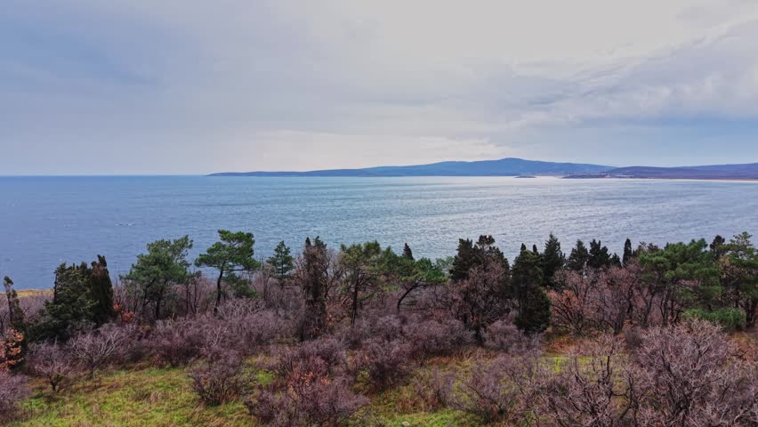 A scene shows the sea meeting the horizon near a coastline. Trees line the edge, and clouds fill the sky. Waves gently move across the water in the distance during late afternoon.