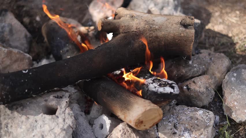 Close-up of a burning campfire with bright orange flames and logs outdoor
