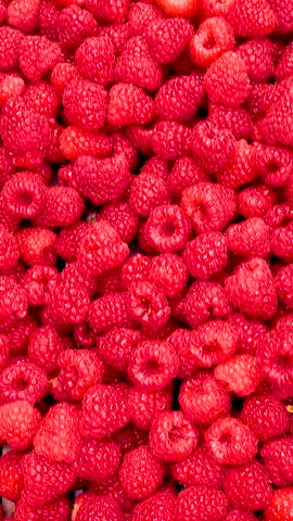 Fresh red raspberries in boxes. Collection of red raspberries in boxes. The concept of agriculture, farming, food, fruits and berries. Camera movement. 