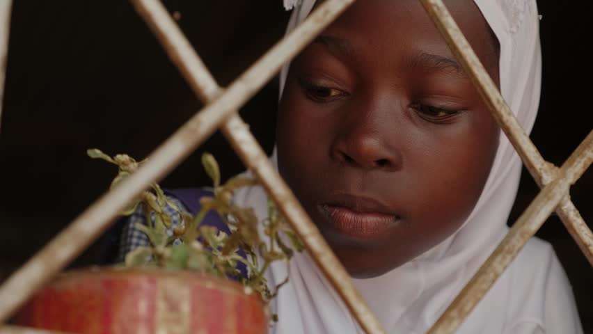 A young girl in a white headscarf examines a small potted plant by an old barred window, reflecting childhood, education, rural life, quiet curiosity, innocence and hope indoors.