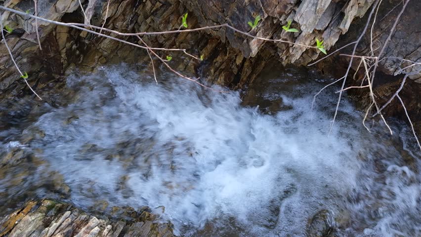 A fast mountain stream on a sunny spring day
