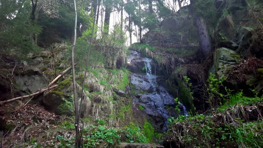 flowing water from a rock