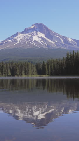 Aerial shot of Trillium Lake in the forest reflecting Mount Hood on the calm surface in Oregon, USA