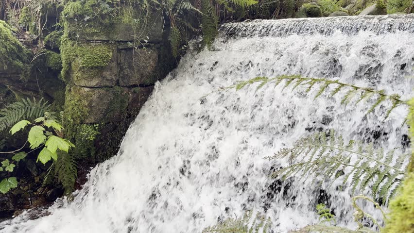 Close-Up of a Waterfall in Kilbroney Forest Park
